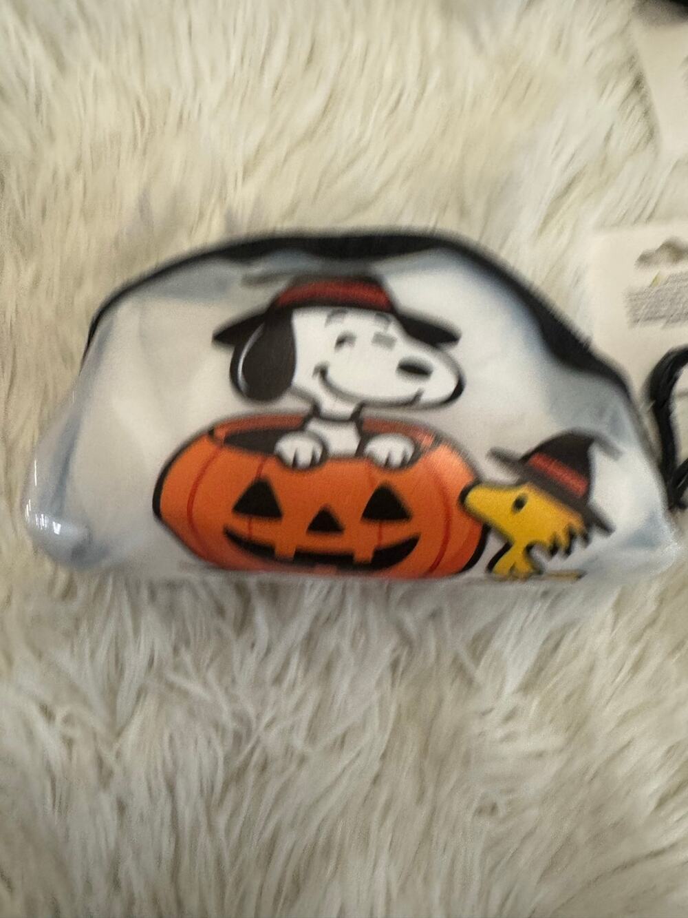 Snoopy & Woodstock in a pumpkin Halloween coin purse keychain
